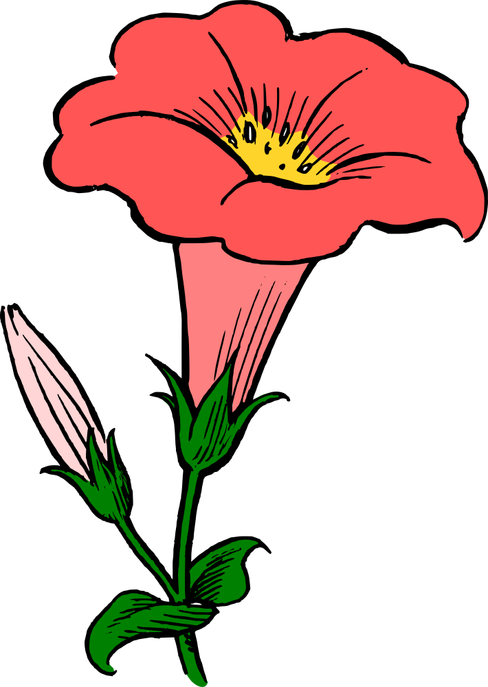 OnlineLabels Clip Art - Colored Gamopetalous Flower